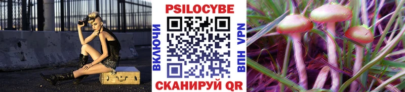наркотики  Сальск  Псилоцибиновые грибы Psilocybe 
