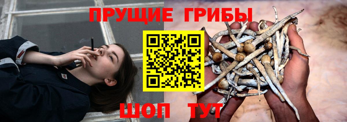 Галлюциногенные грибы ЛСД  Галлюциногенные грибы MAGIC MUSHROOMS  Вход с VPN  Сальск 